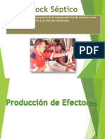 Produccion de Efectores Clase III