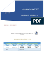 Agenda - Semana 14 Proy 7