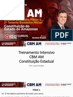 Aula 14 - Constituição Do Estado Do Amazonas