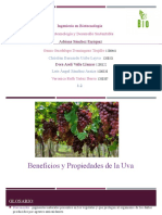 Beneficios y Propiedades de La Uva