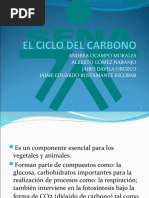 Presentación Ciclo Del Carbono (Original)