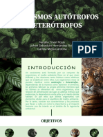 Organismos Autótrofos y Heterótrofos