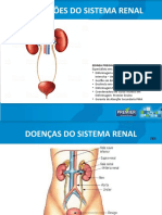 Aula 8 Doenças Sistema Renal e Urinario