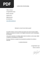 Carta Estilo Profesional