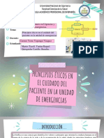 PPT-Seminario Principios Éticos