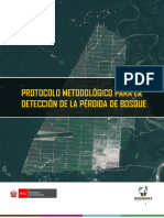 Protocolo Metodologico Deteccion Perdida de Bosque