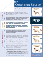 Purina Body Condition Score Diagram