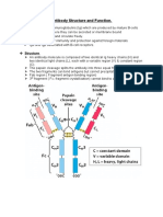 Antibody Structure and Funcion