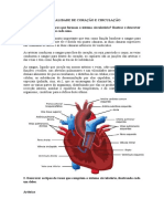 Especialidade de Coração e Circulação