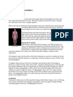 Artery Bypass Procedures: Anatomy and Physiology