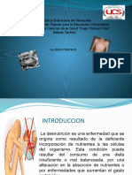 Proyecto Desnutricion