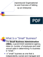 Entrepreneurial Organizational Forms and Overview of Setting Up An Enterprise