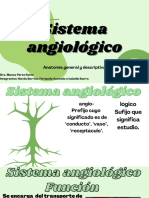 Sistema Angiológico