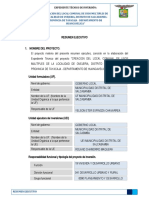 Resumen Ejecutivo