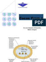 Clase III Staphylococos