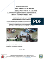 Informe IDPA PNIPA Agosto 2021