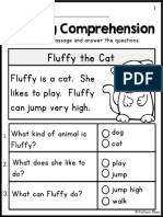 Fluffy The Cat: Reading Comprehension