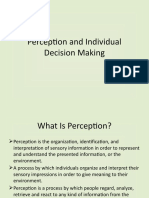 Perception and Individual Decision Making