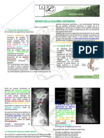 RX de Columna Vertebral