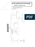 Mapa de Conceitos - Fotossintese