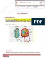 Estructura Bacteriana I