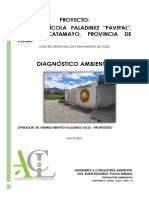 DIAGNISTICO AMBIENTAL CAMAL PAVIPAL-signed