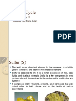 Sulfur - Phosphorus Cycle