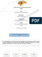 Universidad Cristiana Evangelica Nuevo Milenio Ucenm: Organigrama: Los Contaminantes