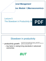 The Slowdown in Productivity Growth: MSC in International Management Global Scenarios: Module 1 (Macroeconomics)