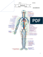 Tema 4. El Aparato Circulatorio