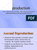 Topic 7 Reproduction