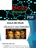 6º Ano - Celulas e Suas Funções