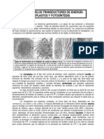 Modulo 10-04