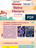 Rreino Monera 6b