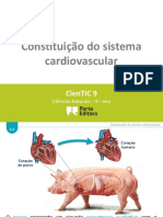 Sistema Cardiovascular 9º