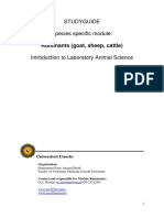 Studyguide Species Specific Module:: Ruminants (Goat, Sheep, Cattle)