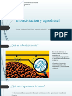 Biolixiviación y Agrodiesel