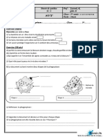 Devoir de Synthèse N°3 2008 2009 (Zarrouk Ridha)