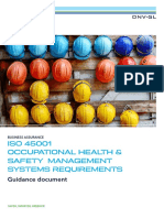 ISO 45001 Occupational Health & Safety Management Systems Requirements