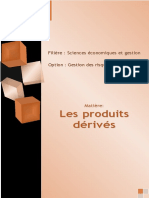 Cours Produits Dérivés