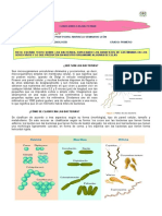 Bacterias 1°