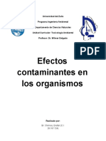 La Cantidad de Una Sustancia A La Que Se Expone Una Persona Durante Un Período de Tiempo