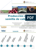 2021 CEBOLLA CNPSH (Ciclo Producción Semilla) 1