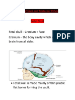 Fetal Skull & Maternal Pelvis