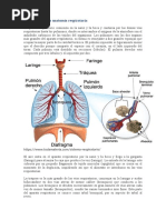 Respiración y Masajes de Abdomen y Miembros Superiores