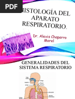 Histología Del Aparato Respiratorio