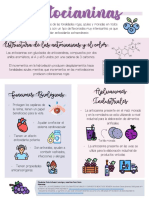 Infografía 3 Bioquímica - Antocianinas