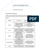 4to Año C - Biología 13 - Zito Freyer - Act.13.