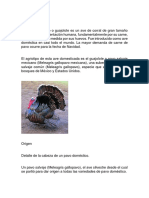 Pavo Doméstico