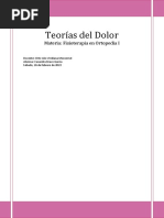 Teorías Del Dolor